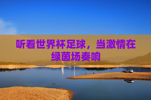 听看世界杯足球,当激情在绿茵场奏响