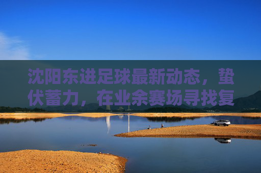 沈阳东进足球最新动态,蛰伏蓄力,在业余赛场寻找复兴之路