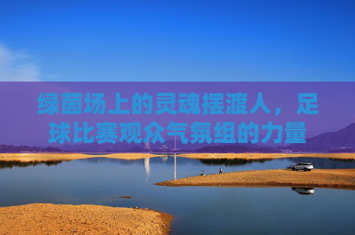 绿茵场上的灵魂摆渡人,足球比赛观众气氛组的力量