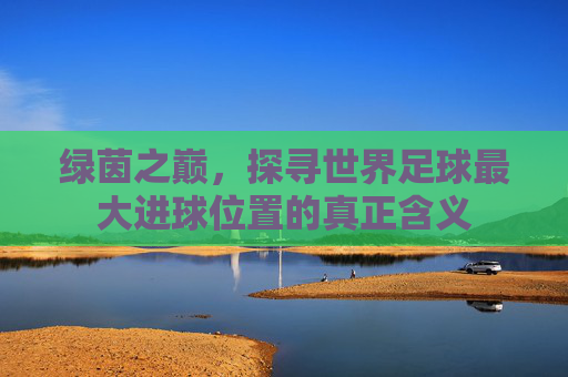 绿茵之巅,探寻世界足球最大进球位置的真正含义