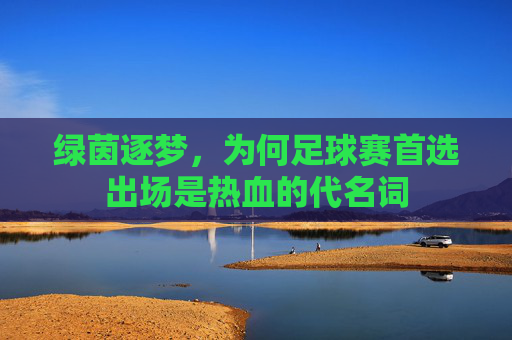 绿茵逐梦,为何足球赛首选出场是热血的代名词