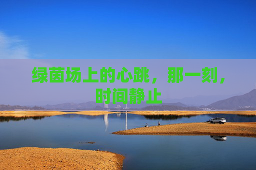 绿茵场上的心跳，那一刻，时间静止