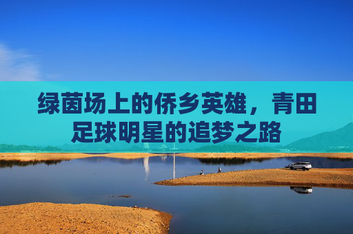 绿茵场上的侨乡英雄，青田足球明星的追梦之路