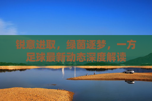 锐意进取,绿茵逐梦,一方足球最新动态深度解读