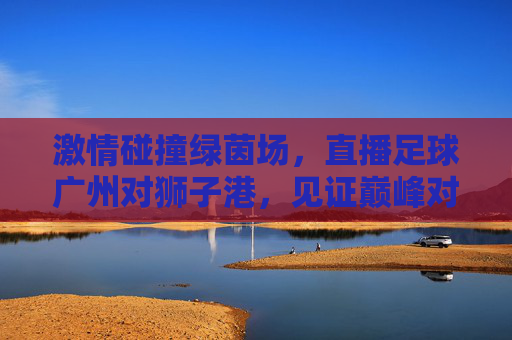 激情碰撞绿茵场，直播足球广州对狮子港，见证巅峰对决