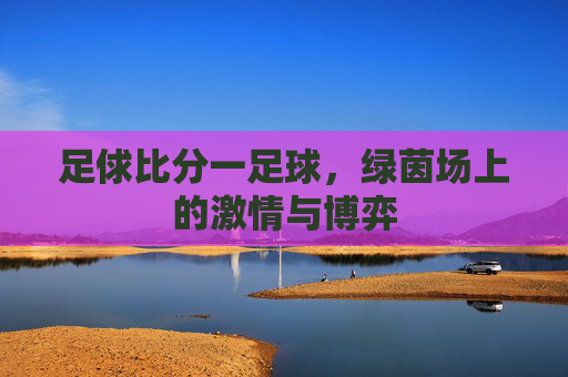 足俅比分一足球,绿茵场上的激情与博弈