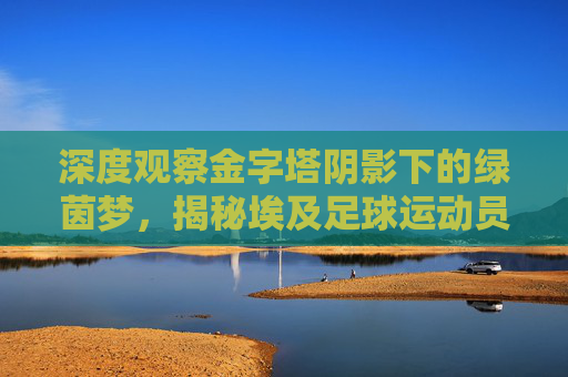 深度观察金字塔阴影下的绿茵梦,揭秘埃及足球运动员的薪资与待遇现状