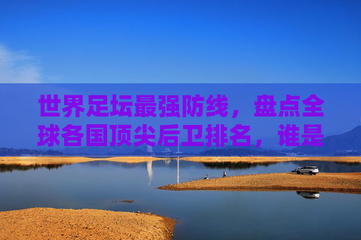 世界足坛最强防线,盘点全球各国顶尖后卫排名,谁是你心中的最强?