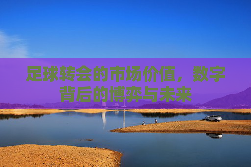 足球转会的市场价值,数字背后的博弈与未来