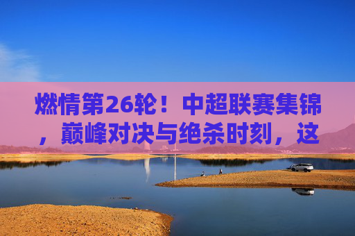 燃情第26轮!中超联赛集锦,巅峰对决与绝杀时刻,这些瞬间不容错过
