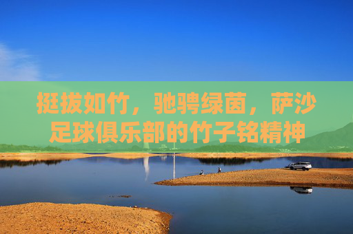 挺拔如竹,驰骋绿茵,萨沙足球俱乐部的竹子铭精神