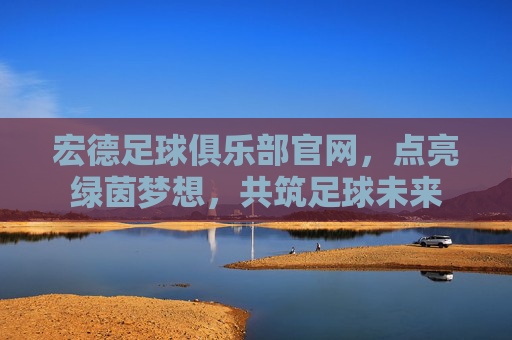 宏德足球俱乐部官网,点亮绿茵梦想,共筑足球未来