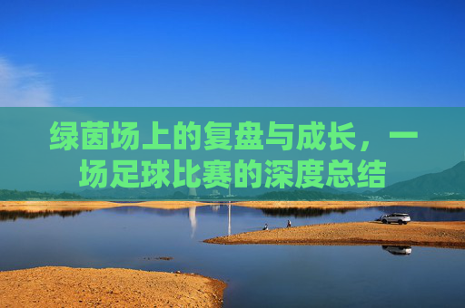 绿茵场上的复盘与成长,一场足球比赛的深度总结