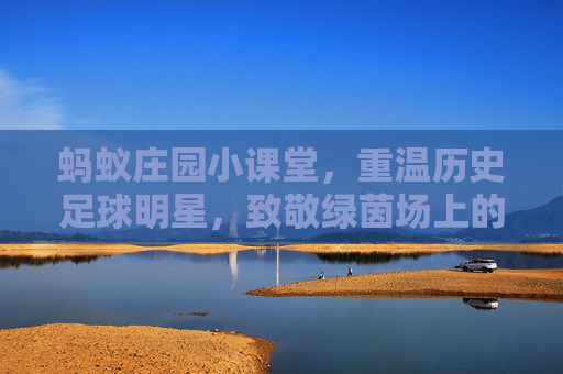 蚂蚁庄园小课堂,重温历史足球明星,致敬绿茵场上的不朽传奇