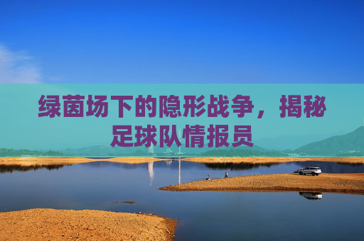 绿茵场下的隐形战争,揭秘足球队情报员