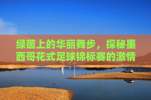 绿茵上的华丽舞步,探秘墨西哥花式足球锦标赛的激情与技巧