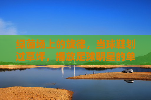 绿茵场上的旋律，当球鞋划过草坪，播放足球明星的单