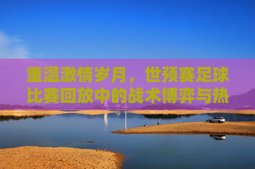 重温激情岁月，世预赛足球比赛回放中的战术博弈与热血瞬间