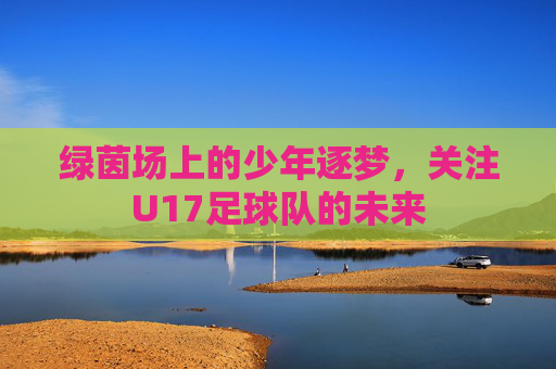 绿茵场上的少年逐梦,关注U17足球队的未来