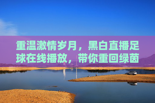 重温激情岁月,黑白直播足球在线播放,带你重回绿茵场