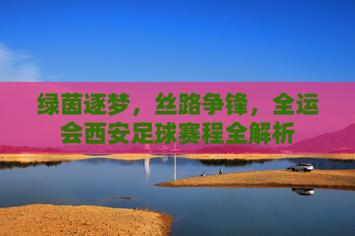 绿茵逐梦,丝路争锋,全运会西安足球赛程全解析