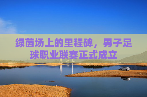 绿茵场上的里程碑,男子足球职业联赛正式成立