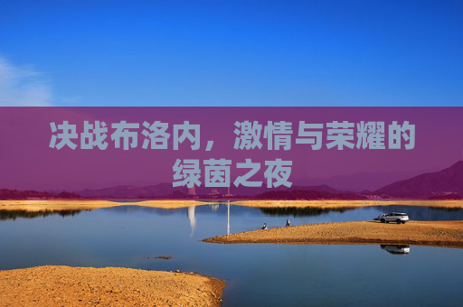 决战布洛内,激情与荣耀的绿茵之夜