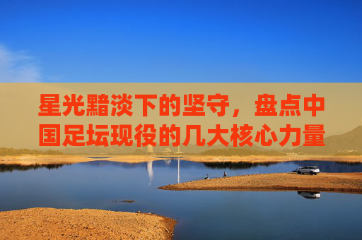 星光黯淡下的坚守,盘点中国足坛现役的几大核心力量