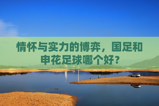 情怀与实力的博弈,国足和申花足球哪个好?