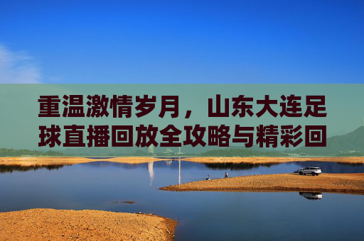 重温激情岁月,山东大连足球直播回放全攻略与精彩回顾