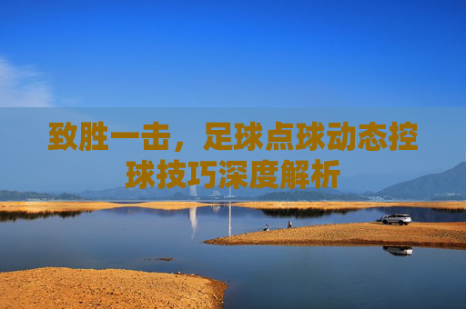 致胜一击,足球点球动态控球技巧深度解析