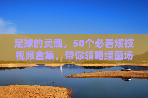 足球的灵魂,50个必看炫技视频合集,带你领略绿茵场上的艺术