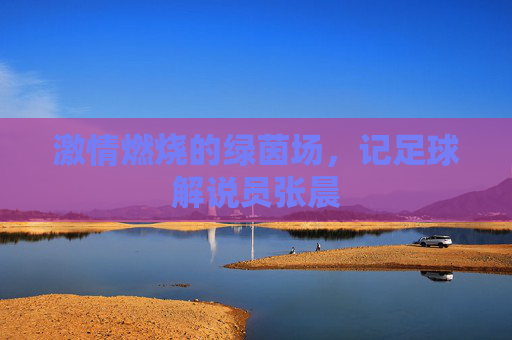 激情燃烧的绿茵场,记足球解说员张晨