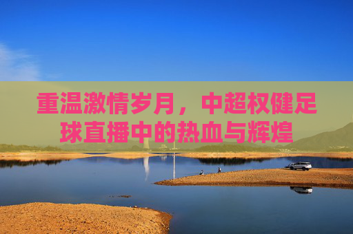 重温激情岁月,中超权健足球直播中的热血与辉煌