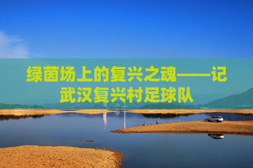 绿茵场上的复兴之魂——记武汉复兴村足球队