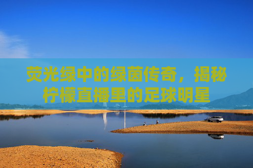 荧光绿中的绿茵传奇,揭秘柠檬直播里的足球明星