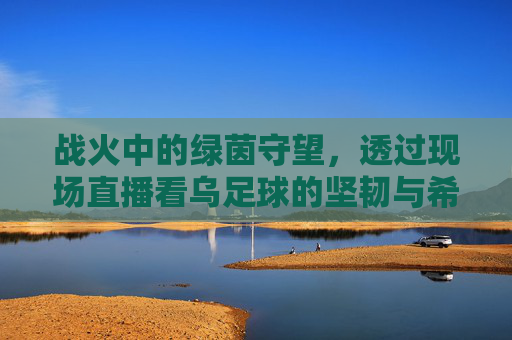 战火中的绿茵守望,透过现场直播看乌足球的坚韧与希望