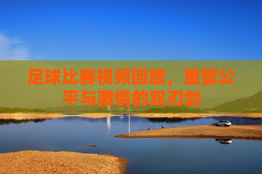 足球比赛视频回放,重塑公平与激情的双刃剑