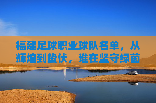 福建足球职业球队名单,从辉煌到蛰伏,谁在坚守绿茵梦?
