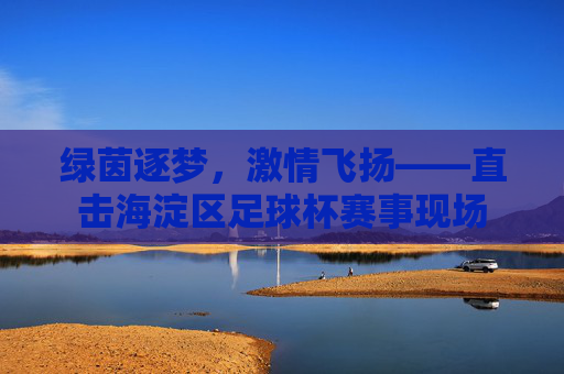 绿茵逐梦,激情飞扬——直击海淀区足球杯赛事现场
