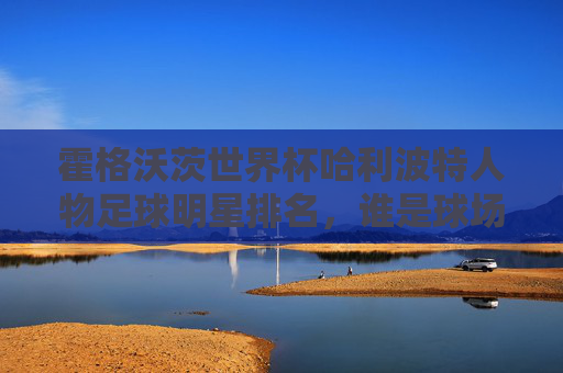 霍格沃茨世界杯哈利波特人物足球明星排名,谁是球场上的霍格沃茨梅西?
