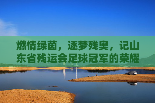燃情绿茵,逐梦残奥,记山东省残运会足球冠军的荣耀时刻