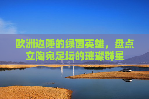 欧洲边陲的绿茵英雄,盘点立陶宛足坛的璀璨群星