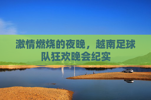 激情燃烧的夜晚,越南足球队狂欢晚会纪实