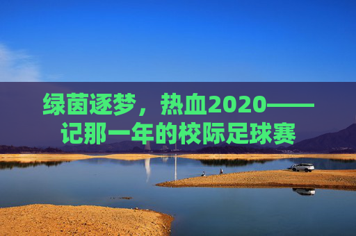绿茵逐梦，热血2020——记那一年的校际足球赛