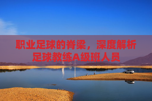 职业足球的脊梁，深度解析足球教练A级班人员