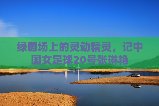 绿茵场上的灵动精灵,记中国女足球20号张琳艳