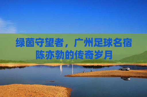 绿茵守望者,广州足球名宿陈亦勃的传奇岁月
