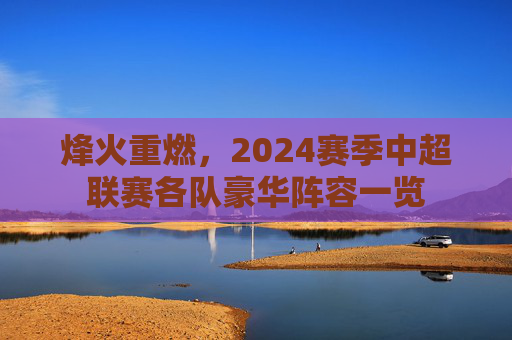 烽火重燃,2024赛季中超联赛各队豪华阵容一览