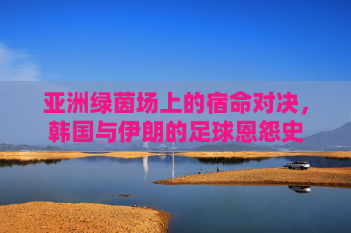 亚洲绿茵场上的宿命对决，韩国与伊朗的足球恩怨史